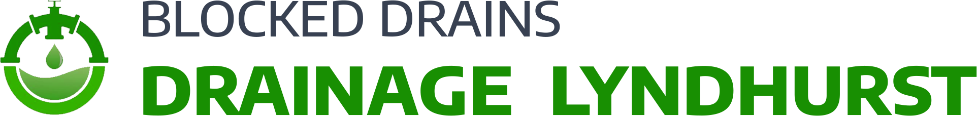 website logo